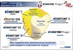 Универсальный мультиэнзимный препарат РОКСАЗИМ G2G Универсальный мультиэнзимный препарат РОКСАЗИМ G2G