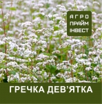 Насіння гречки Дев'ятка - найкращий сорт для повторних посівів Насіння гречки Дев'ятка - найкращий сорт для повторних посівів