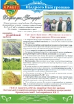 Ультранньостиглий сорт проса посівного Полтавське золотисте 1 репродукція Ультранньостиглий сорт проса посівного Полтавське золотисте 1 репродукція