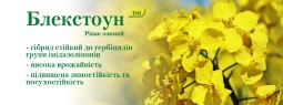 Ріпак озимий «Блекстоун» під Євро-Лайтнінг від виробника Ріпак озимий «Блекстоун» під Євро-Лайтнінг від виробника