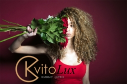 Доставка цветов в Харькове от Kvitolux