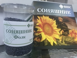 Новинка! Соняшник Фолк під 50гр гранстру від ВНІС Новинка! Соняшник Фолк під 50гр гранстру від ВНІС