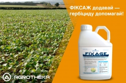Грунтовий ад'ювант Фіксаж Грунтовий ад'ювант Фіксаж